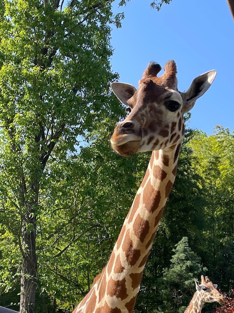 市原ぞうの国・サユリワールド～ANIMAL WONDER REZOURT～