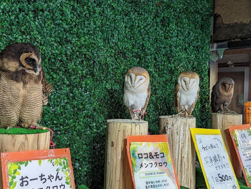 ふれあい動物園 ANIMA