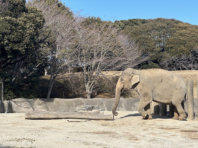 千葉市動物公園