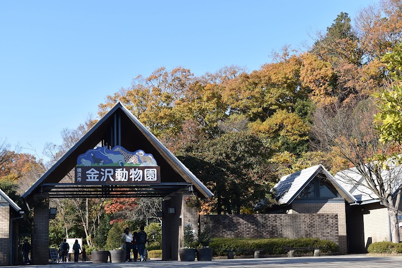 横浜市立金沢動物園 の写真