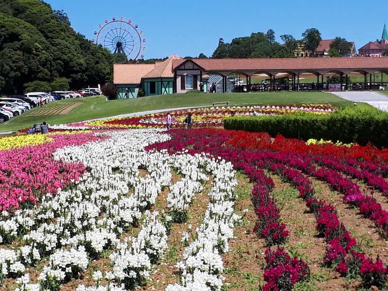 東京ドイツ村