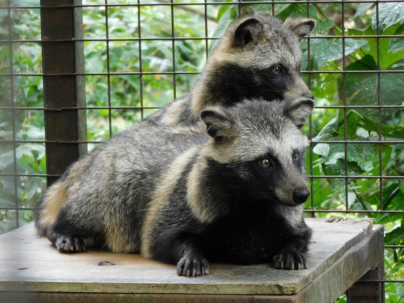市原ぞうの国・サユリワールド～ANIMAL WONDER REZOURT～