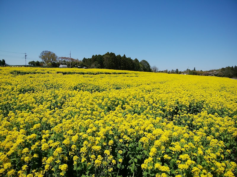富田さとにわ耕園