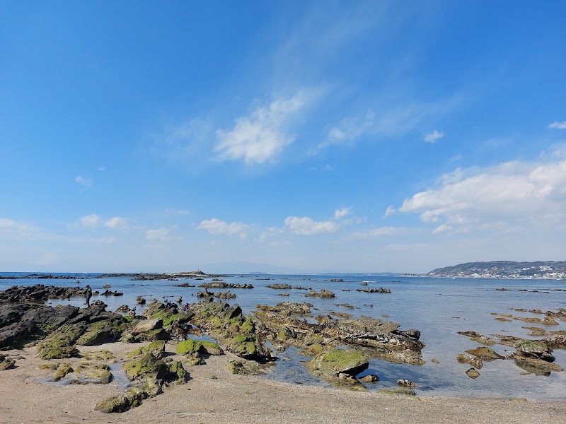 天神島臨海自然教育園