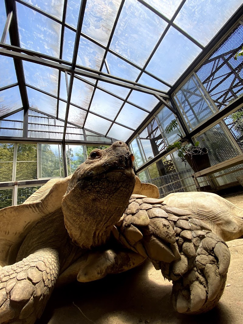 サユリワールド・市原ぞうの国～ANIMAL WONDER REZOURT～