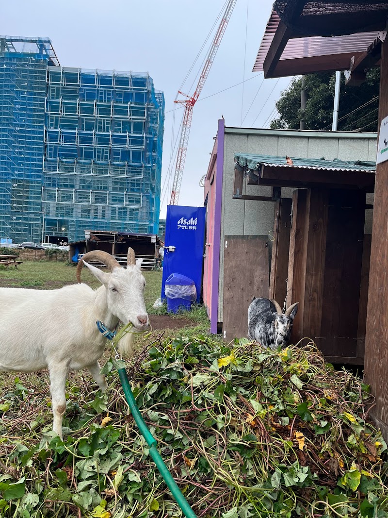 exstion 印西ふれあい牧場