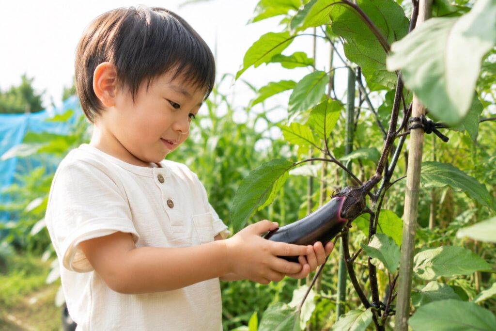 なすを手に取る子供