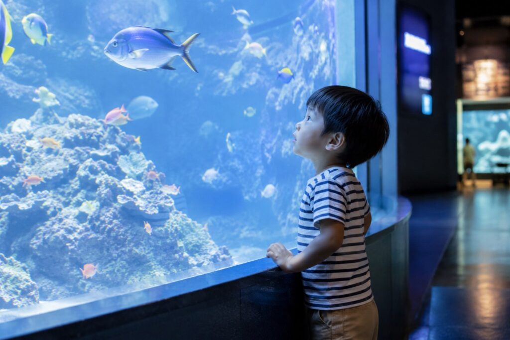 水族館にいる子供