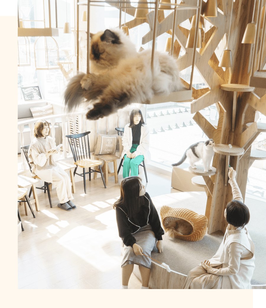 猫カフェMOCHA 町田ジョルナ店・・(@{Type=card; Url=https://catmocha.jp/shop/machida; FinalUrl=https://catmocha.jp/shop/machida; Title=町田ジョルナ店｜猫カフェ MOCHA(モカ); SiteName=catmocha.jp; Description=猫カフェMOCHA町田ジョルナ店の料金、アクセス、猫ちゃんの紹介ページです。猫と過ごす癒やしの空間で、お客様に心豊かなひとときをお届けします。; ImageUrl=https://catmocha.jp/assets/img/common/thumb-header_nav01.png; ImageSource=page-image; HostName=catmocha.jp}.Title)