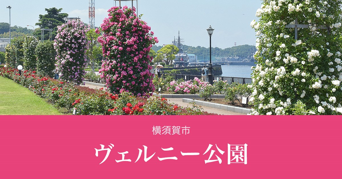 ヴェルニー公園・・(@{Type=card; Url=https://www.kanagawaparks.com/verny/; FinalUrl=https://www.kanagawaparks.com/verny/; Title=横須賀市 ヴェルニー公園; SiteName=横須賀市 ヴェルニー公園; Description=公園の対岸にフランス人技師ヴェルニーが建設に貢献した旧横須賀製鉄所が臨める、フランス庭園様式を取り入れた公園です。; ImageUrl=https://www.kanagawaparks.com/verny//files/og-image.jpg; ImageSource=ogp; HostName=kanagawaparks.com}.Title)