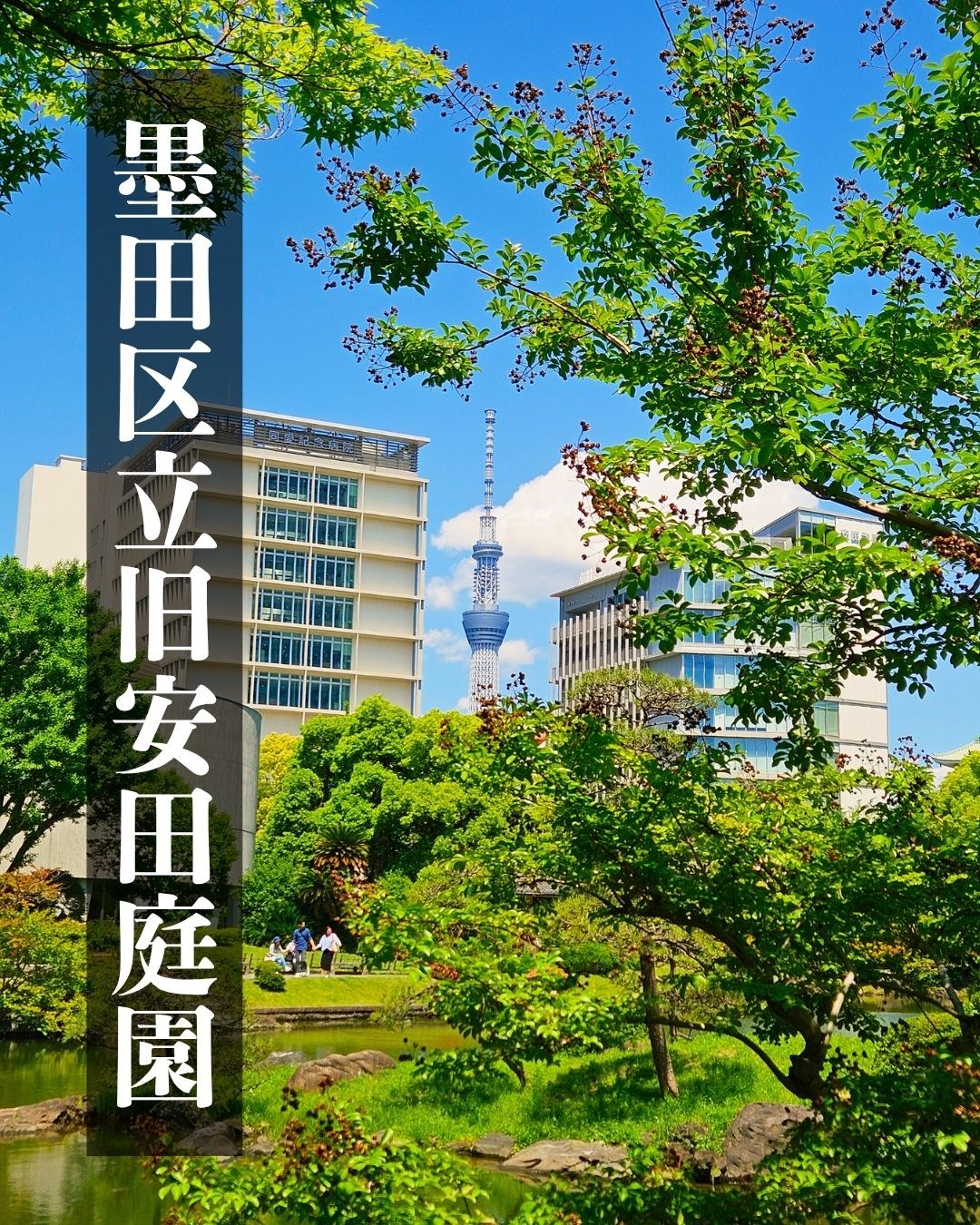 自然を満喫できる穴場スポット・・(@{Type=card; Url=https://futofura.com/media/026_yasuda_teien/; FinalUrl=https://futofura.com/media/026_yasuda_teien/; Title=旧安田庭園｜ベビーカーOKで子どもと静かな和の景色を楽しめる都会の庭園 | 穴場おでかけスポット検索メディア【ふとふらっと】; SiteName=穴場おでかけスポット検索メディア【ふとふらっと】; Description=; ImageUrl=https://futofura.com/wp-content/uploads/2026/05/%E5%AD%90%E4%BE%9B%E3%81%A8%E3%81%AE%E3%81%8A%E3%81%A7%E3%81%8B%E3%81%91%E5%85%88%E3%81%AE%E9%81%B8%E3%81%B3%E6%96%B9%EF%BC%81-3.jpg; ImageSource=ogp; HostName=futofura.com}.Title)