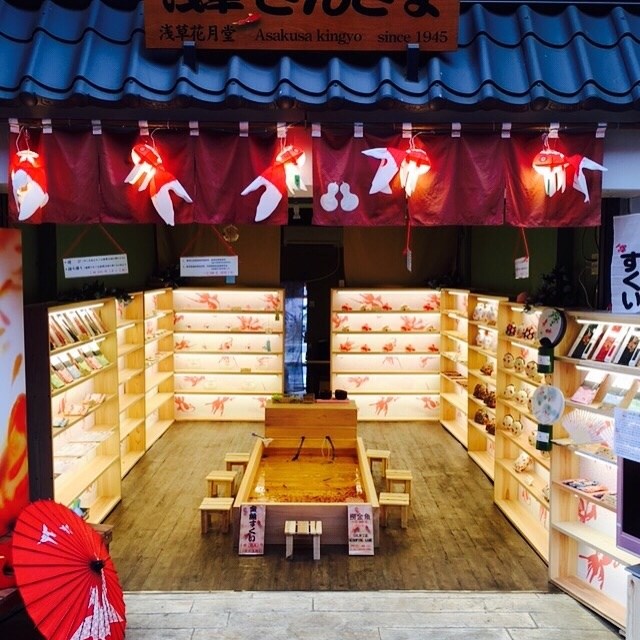 浅草きんぎょ・・(@{Type=card; Url=https://asakusa-kingyo.crayonsite.net; FinalUrl=https://asakusa-kingyo.crayonsite.net/; Title=金魚雑貨と金魚すくいの専門店 『浅草きんぎょ』; SiteName=金魚雑貨と金魚すくいの専門店 『浅草きんぎょ』; Description=; ImageUrl=https://crayonimg.e-shops.jp/cms-dimg/1062592/293093/640_640.jpg; ImageSource=ogp; HostName=asakusa-kingyo.crayonsite.net}.Title)