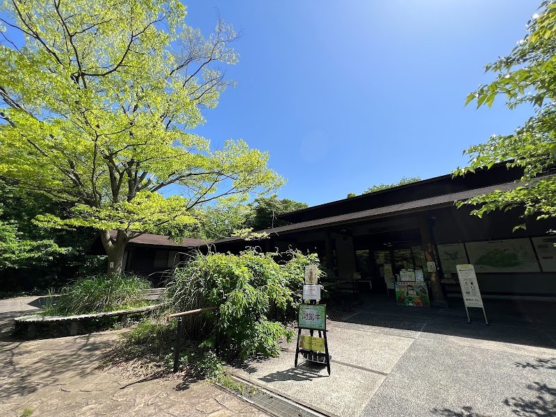 横浜自然観察の森・・(@{Type=card; Url=https://futofura.com/spot/yokohama_shizen/; FinalUrl=https://futofura.com/spot/yokohama_shizen/; Title=横浜自然観察の森 | 穴場おでかけスポット検索メディア【ふとふらっと】; SiteName=穴場おでかけスポット検索メディア【ふとふらっと】; Description=; ImageUrl=https://futofura.com/wp-content/uploads/2026/05/AJRVUZMY4_kdxoNNOeHhaYSNey0t96i0QbXDPSi5ZRespz0LqYB2zoXvxd4xV-vD6DW87Auic_7q2YCOts5qQibvTkThY4yQgTqkQrjrKDJq3GZKIfF-R4FE8jRiSFdwG843_2-HC0QUlJsu_rtlQQs1600-w800.jpg; ImageSource=ogp; HostName=futofura.com}.Title)