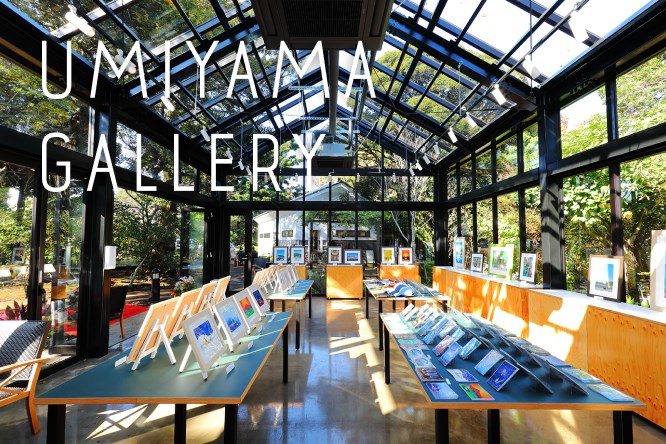 UMIYAMA GALLERY・・(@{Type=card; Url=https://enoshima-seacandle.com/facilities/umiyama-gallery/; FinalUrl=https://enoshima-seacandle.com/facilities/umiyama-gallery/; Title=UMIYAMA GALLERY｜施設紹介｜江の島シーキャンドル・江の島サムエル・コッキング苑; SiteName=江の島シーキャンドル・江の島サムエル・コッキング苑; Description=森の中にひっそりとたたずむ特別な空間; ImageUrl=https://enoshima-seacandle.com/wp/wp-content/uploads/2024/11/img_4.jpg; ImageSource=ogp; HostName=enoshima-seacandle.com}.Title)