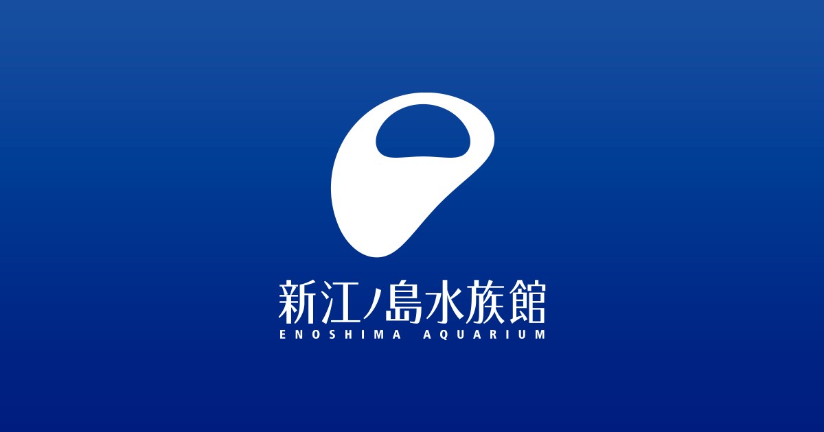 なぎさの体験学習館・・(@{Type=card; Url=https://www.enosui.com/exhibition_experience.php; FinalUrl=https://www.enosui.com/exhibition_experience.php; Title=なぎさの体験学習館; SiteName=enosui.com; Description=湘南のなぎさとふれあい、なぎさの大切さを「知る」「学ぶ」「考える」「行動する」ことを基本テーマとする体験学習施設です。; ImageUrl=https://www.enosui.com/images/ogp_enosui.png; ImageSource=ogp; HostName=enosui.com}.Title)