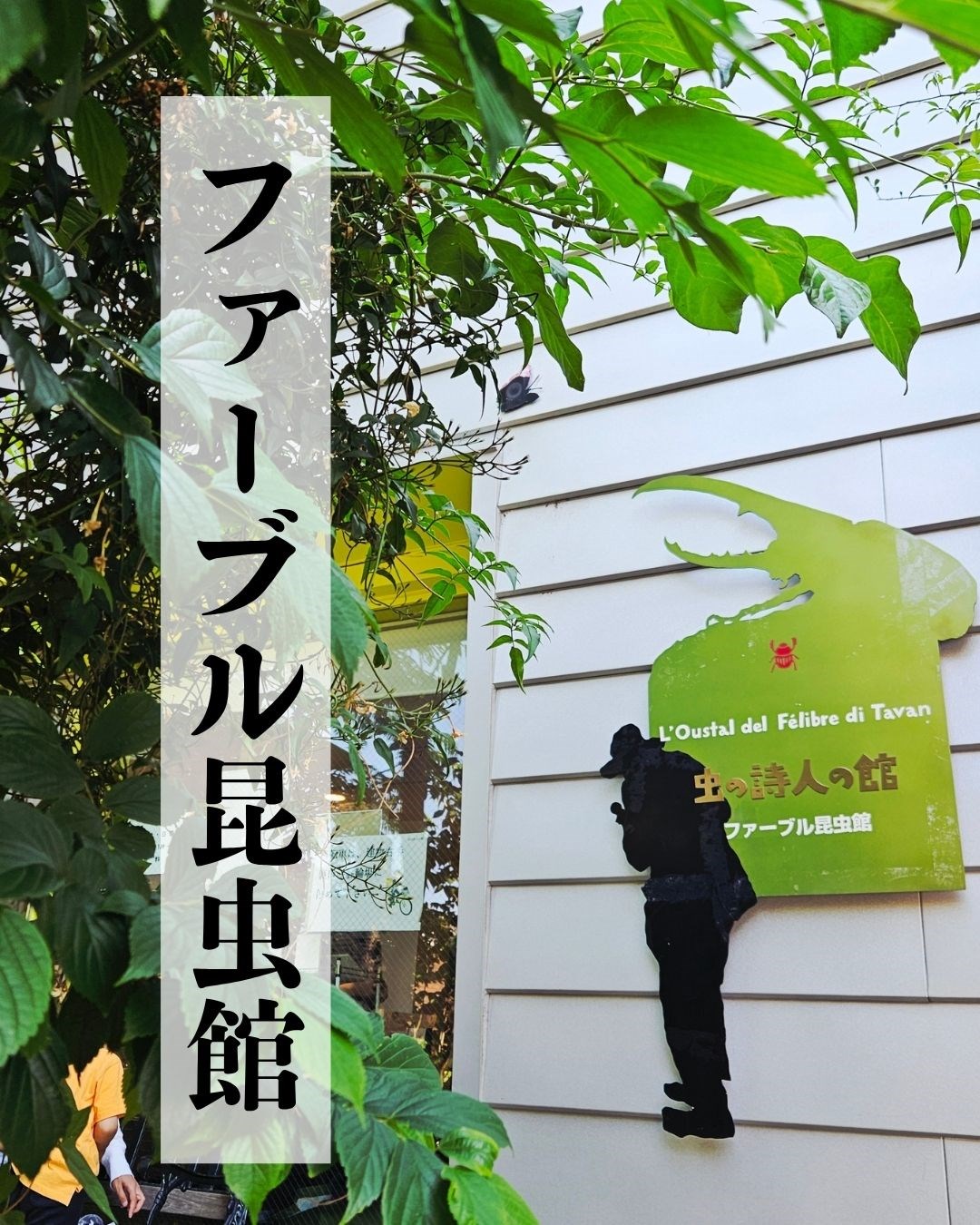 室内で楽しめる穴場スポット・・(@{Type=card; Url=https://futofura.com/media/028_fabre_konchu/; FinalUrl=https://futofura.com/media/028_fabre_konchu/; Title=ファーブル昆虫館｜虫好きキッズが夢中になる！クイズやふれあいで楽しめる文京区の無料昆虫館 | 穴場おでかけスポット検索メディア【ふとふらっと】; SiteName=穴場おでかけスポット検索メディア【ふとふらっと】; Description=; ImageUrl=https://futofura.com/wp-content/uploads/2026/05/%E5%AD%90%E4%BE%9B%E3%81%A8%E3%81%AE%E3%81%8A%E3%81%A7%E3%81%8B%E3%81%91%E5%85%88%E3%81%AE%E9%81%B8%E3%81%B3%E6%96%B9%EF%BC%81-1-1.jpg; ImageSource=ogp; HostName=futofura.com}.Title)