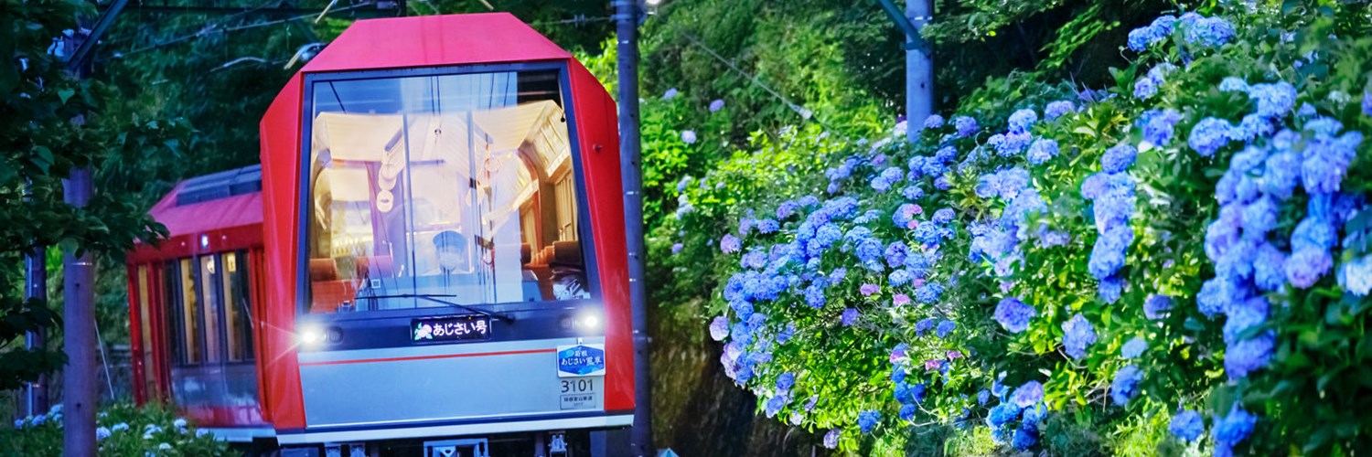 あじさい橋・早川沿い散策・・(@{Type=card; Url=https://www.hakone.or.jp/8201; FinalUrl=https://www.hakone.or.jp/8201; Title=箱根のあじさいの楽しみ方|箱根町観光協会公式サイト　温泉・旅館・ホテル・観光情報満載！; SiteName=箱根町観光協会公式サイト　温泉・旅館・ホテル・観光情報満載！; Description=箱根の観光・旅行情報は箱根町観光協会公式サイト「箱根全山」におまかせ！旅館・ホテルの宿泊情報。グルメも満足の飲食店。心も体も満足の日帰り温泉。箱根を遊びつくせるスポット！旅の思い出を詰め込むお土産。公式サイトお勧めの情報満載！; ImageUrl=https://www.hakone.or.jp/files/B016_2023061217512321849.jpg; ImageSource=page-image; HostName=hakone.or.jp}.Title)