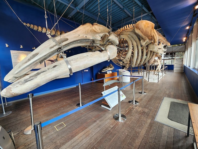 自由研究にもなる学びスポット・・(@{Type=card; Url=https://futofura.com/spot/tokyo_kaiyo_museum/; FinalUrl=https://futofura.com/spot/tokyo_kaiyo_museum/; Title=東京海洋大学マリンサイエンスミュージアム | 穴場おでかけスポット検索メディア【ふとふらっと】; SiteName=穴場おでかけスポット検索メディア【ふとふらっと】; Description=; ImageUrl=https://futofura.com/wp-content/uploads/2026/05/AJRVUZPgRK17BgXzdCF_wO_b3xS23jJ7JnS1Hnke6sKHWsy1yfHZb8AybHOXLsST2NHmF9ouZkqYJ-xkru5j0GLwJoAPUkzaeJAajDYb7X5BgZ_jaw7qZZ4F7r0BXTzR1dCiGs38TBAE4inB8PzU6yss1600-w800.jpg; ImageSource=ogp; HostName=futofura.com}.Title)
