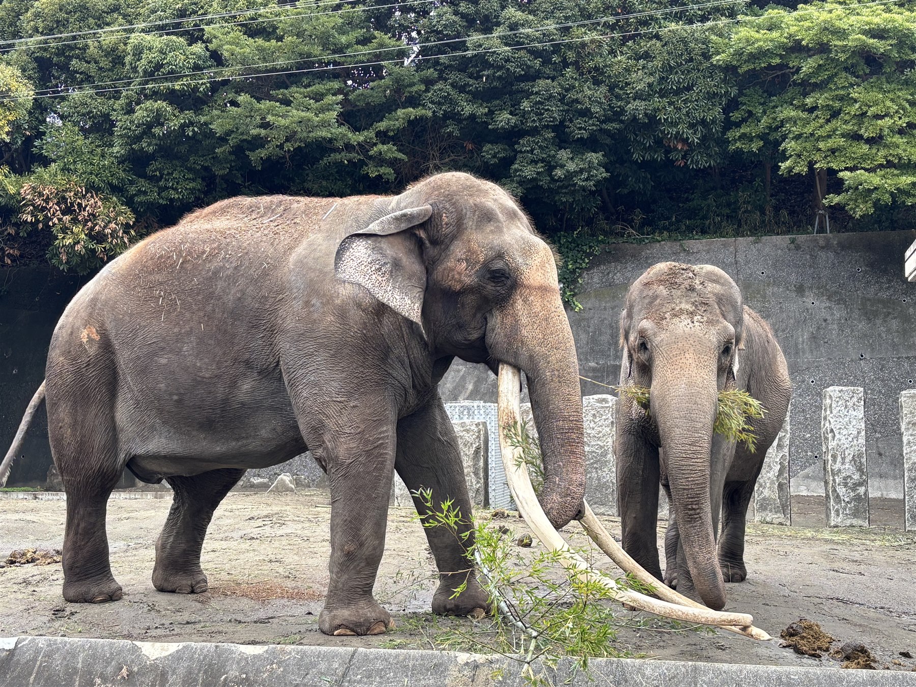 横浜市立金沢動物園