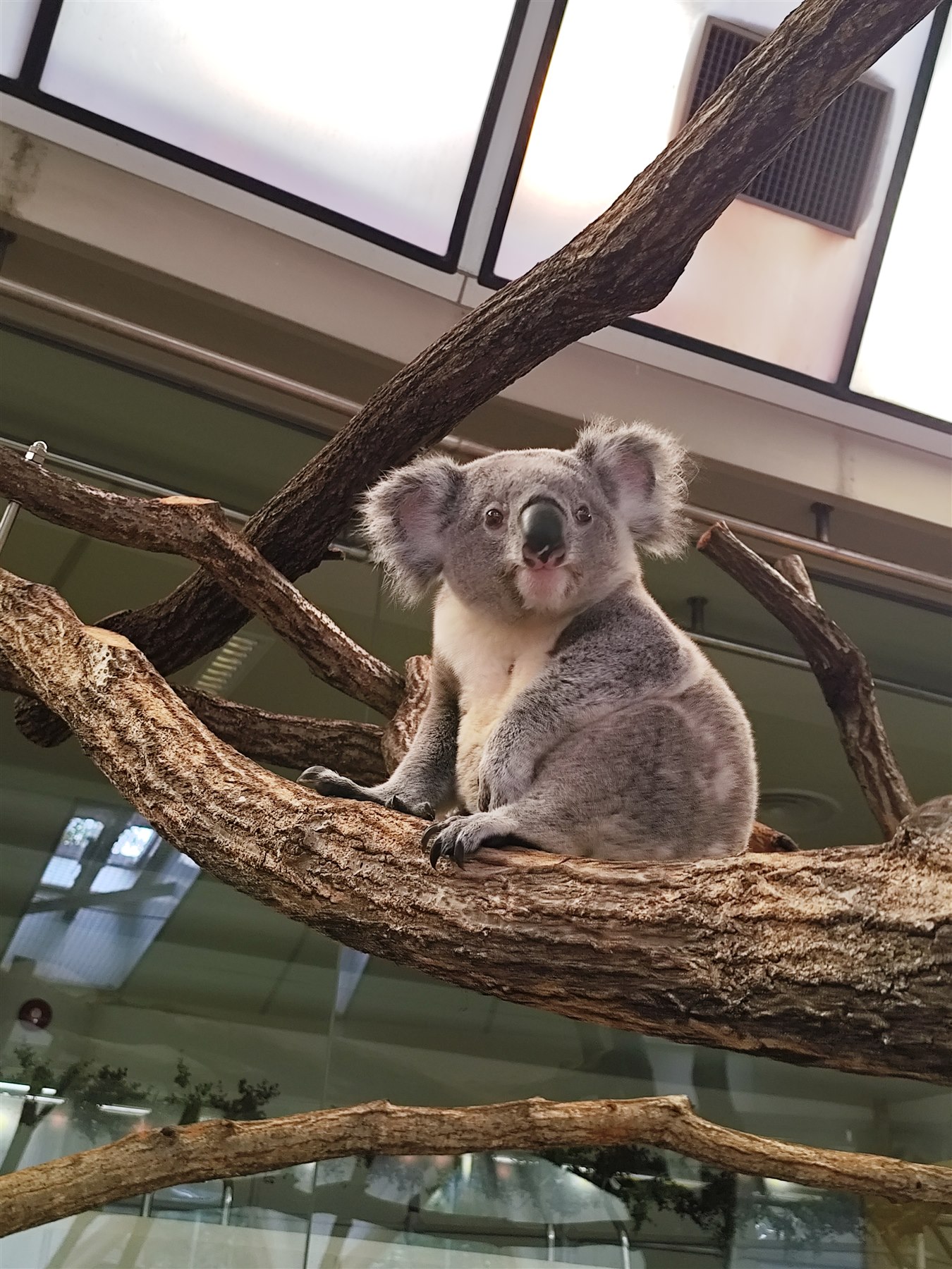 横浜市立金沢動物園