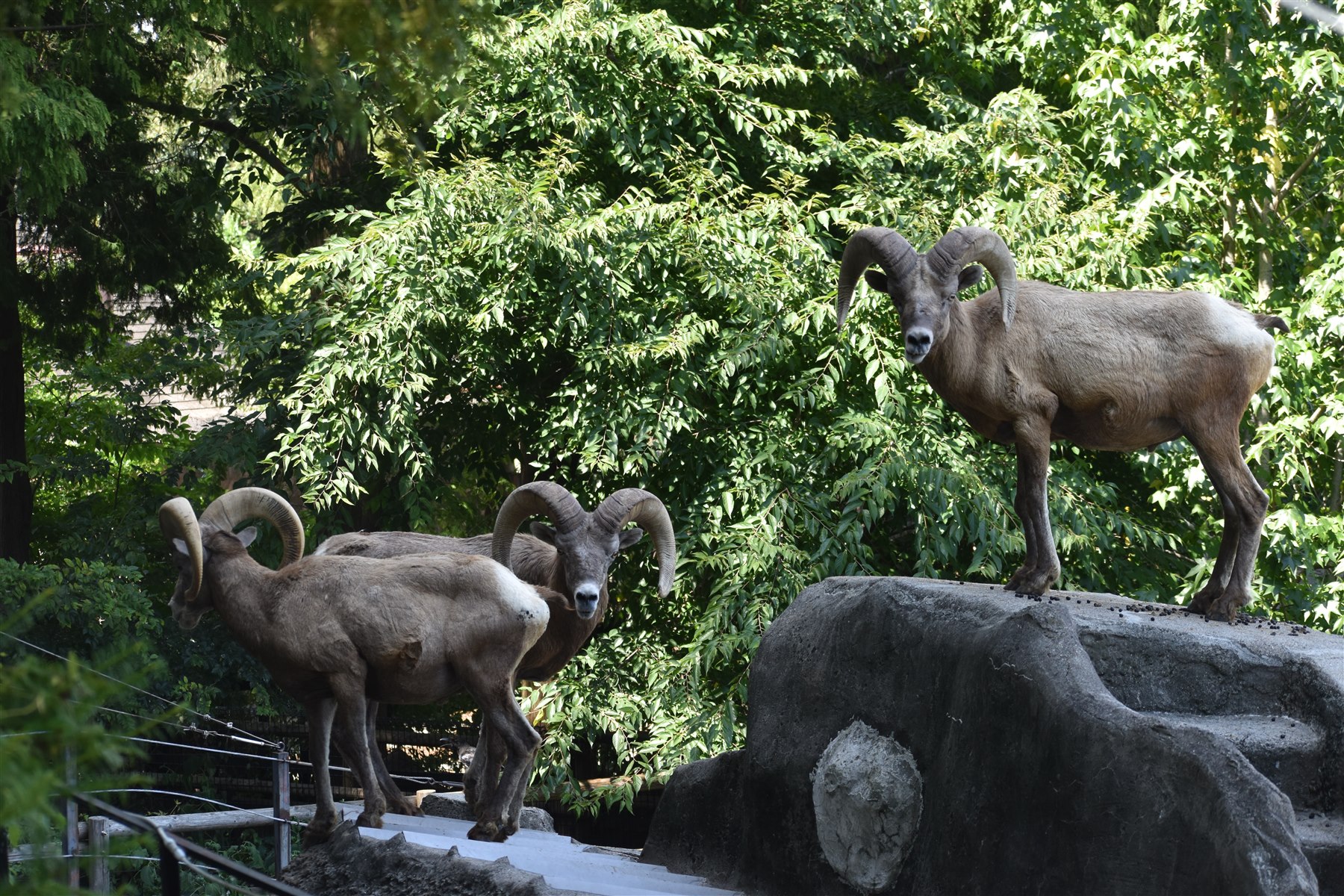 横浜市立金沢動物園