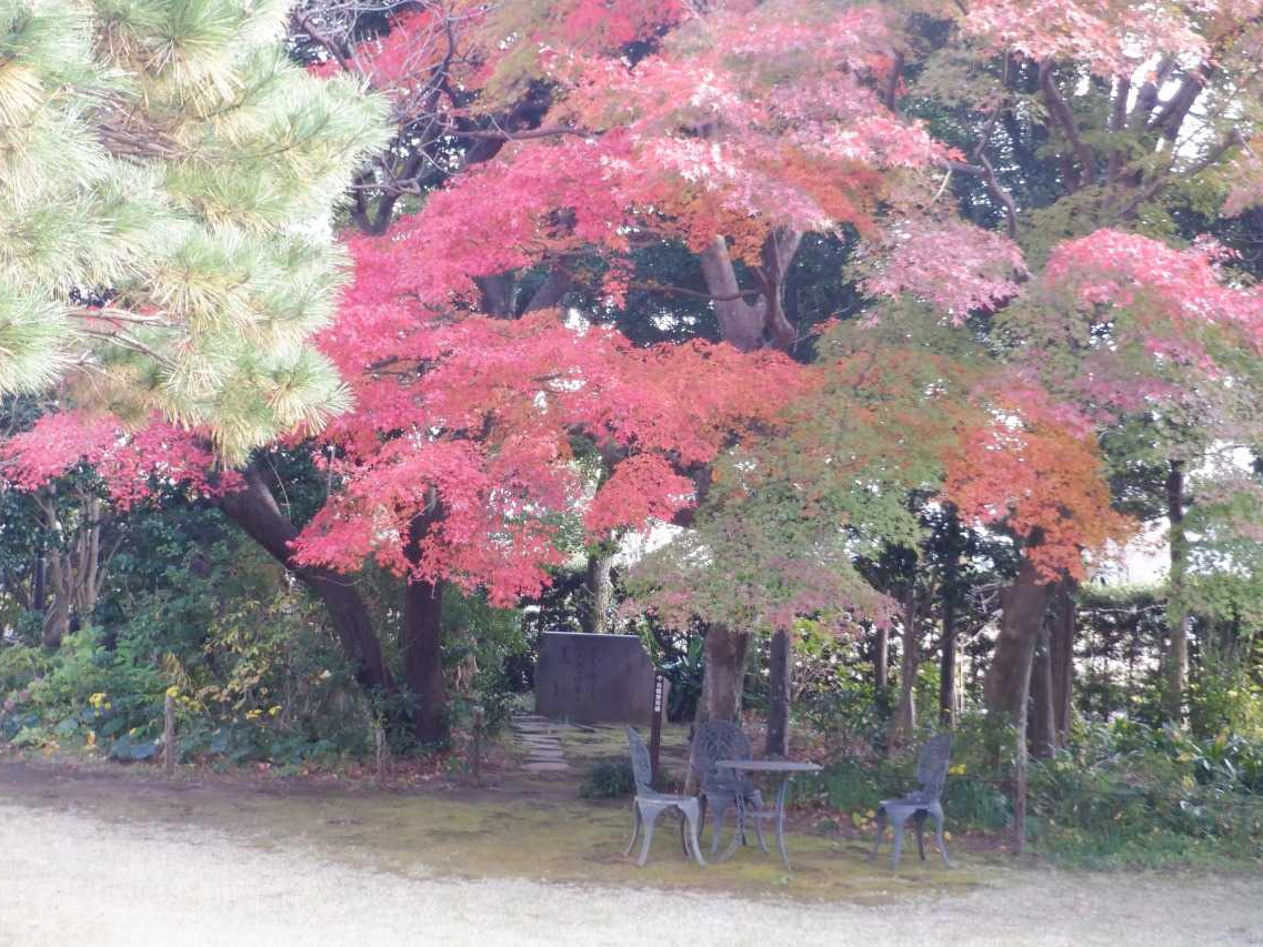 小田原文学館