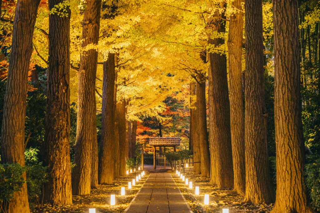 大田黒公園
