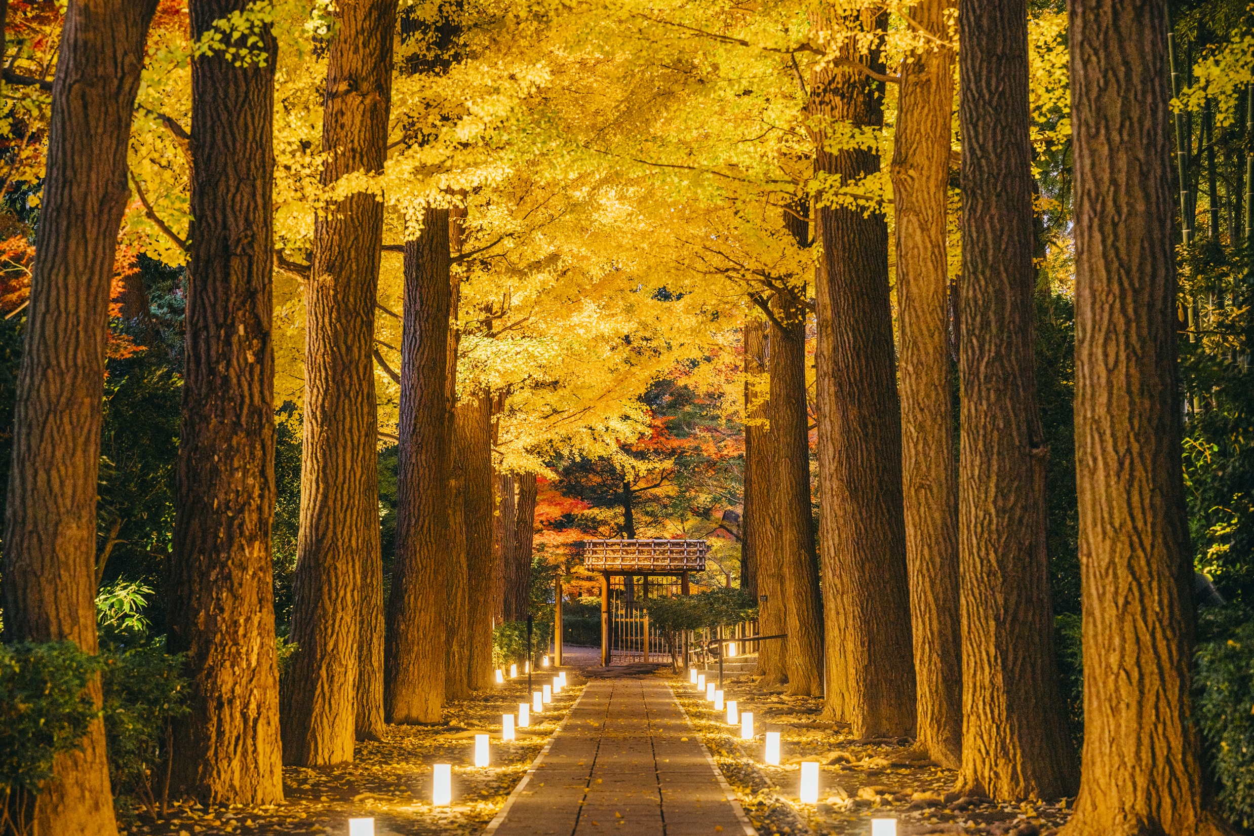 大田黒公園