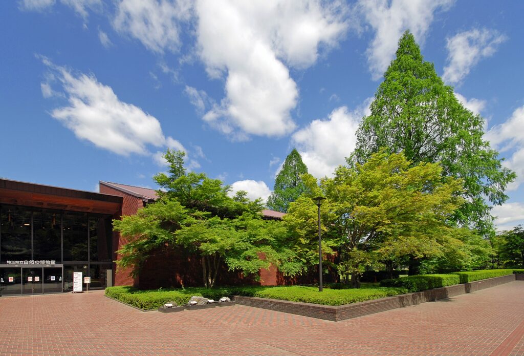 埼玉県立自然の博物館の外観