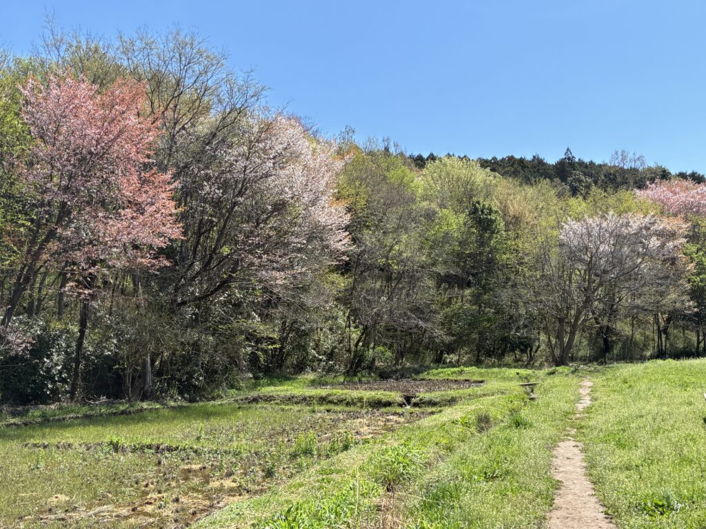 カネパ緑の森博物館