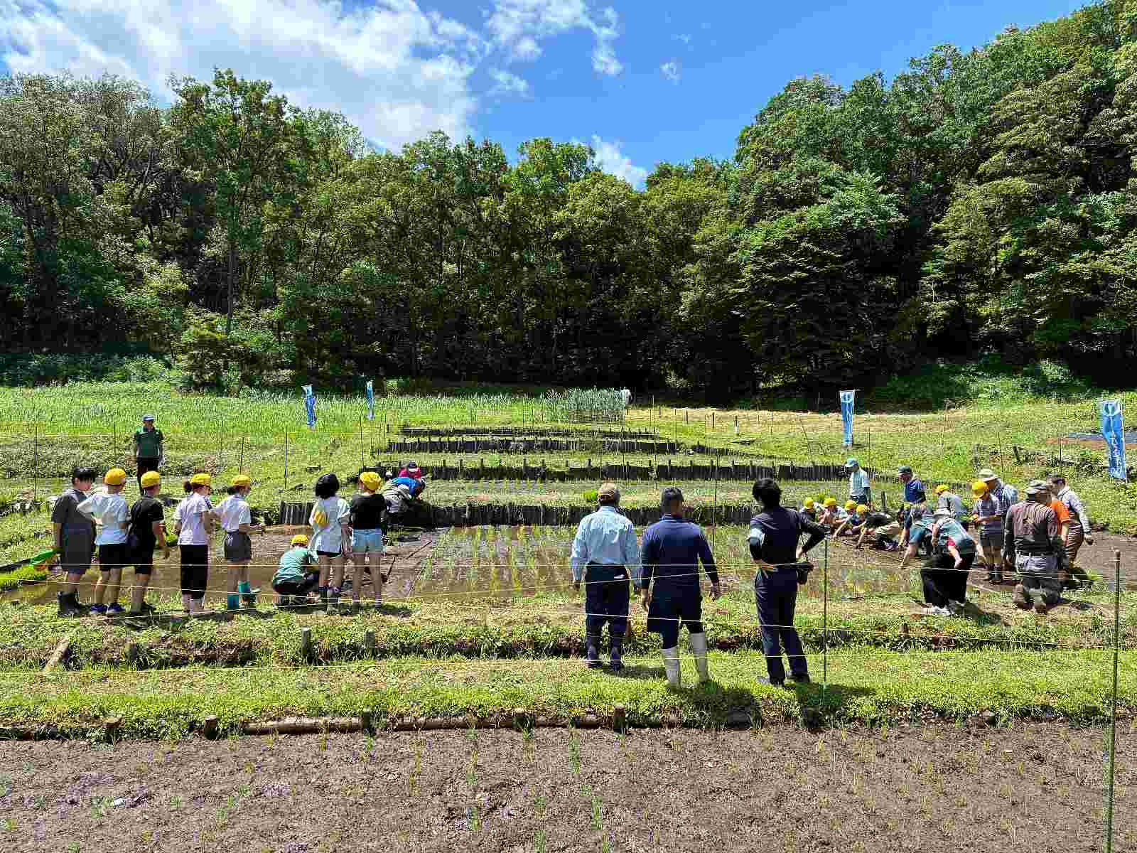カネパ緑の森博物館