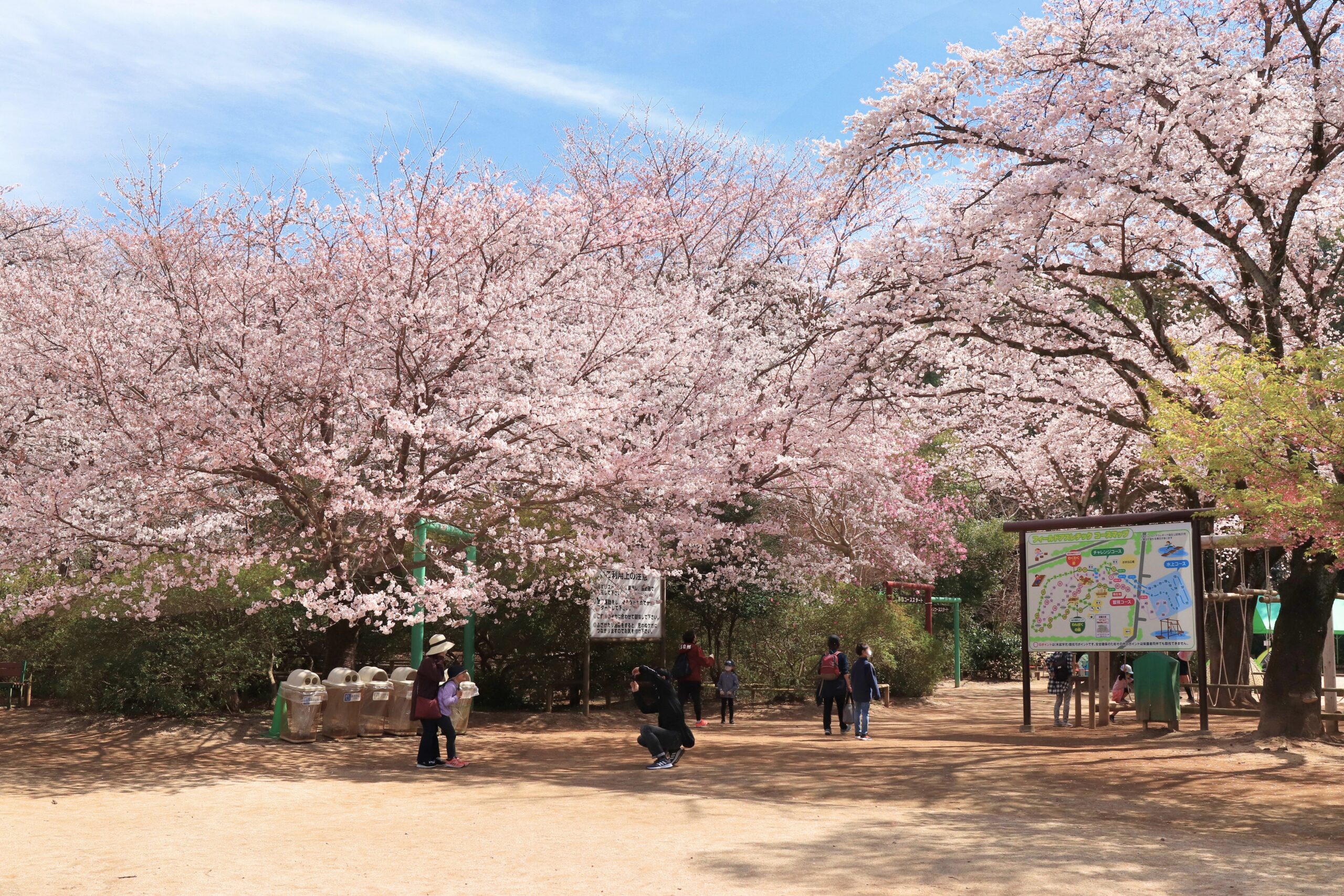 清水公園
