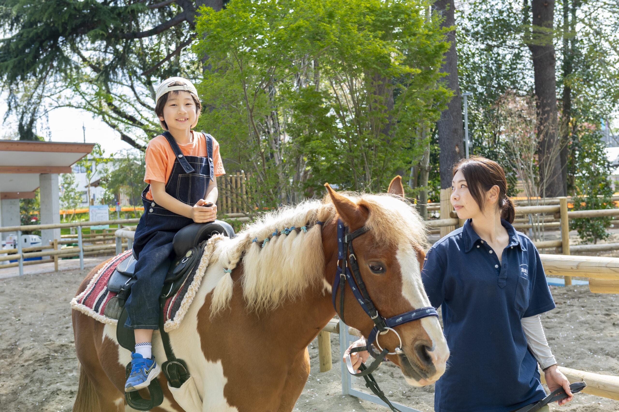 清水公園