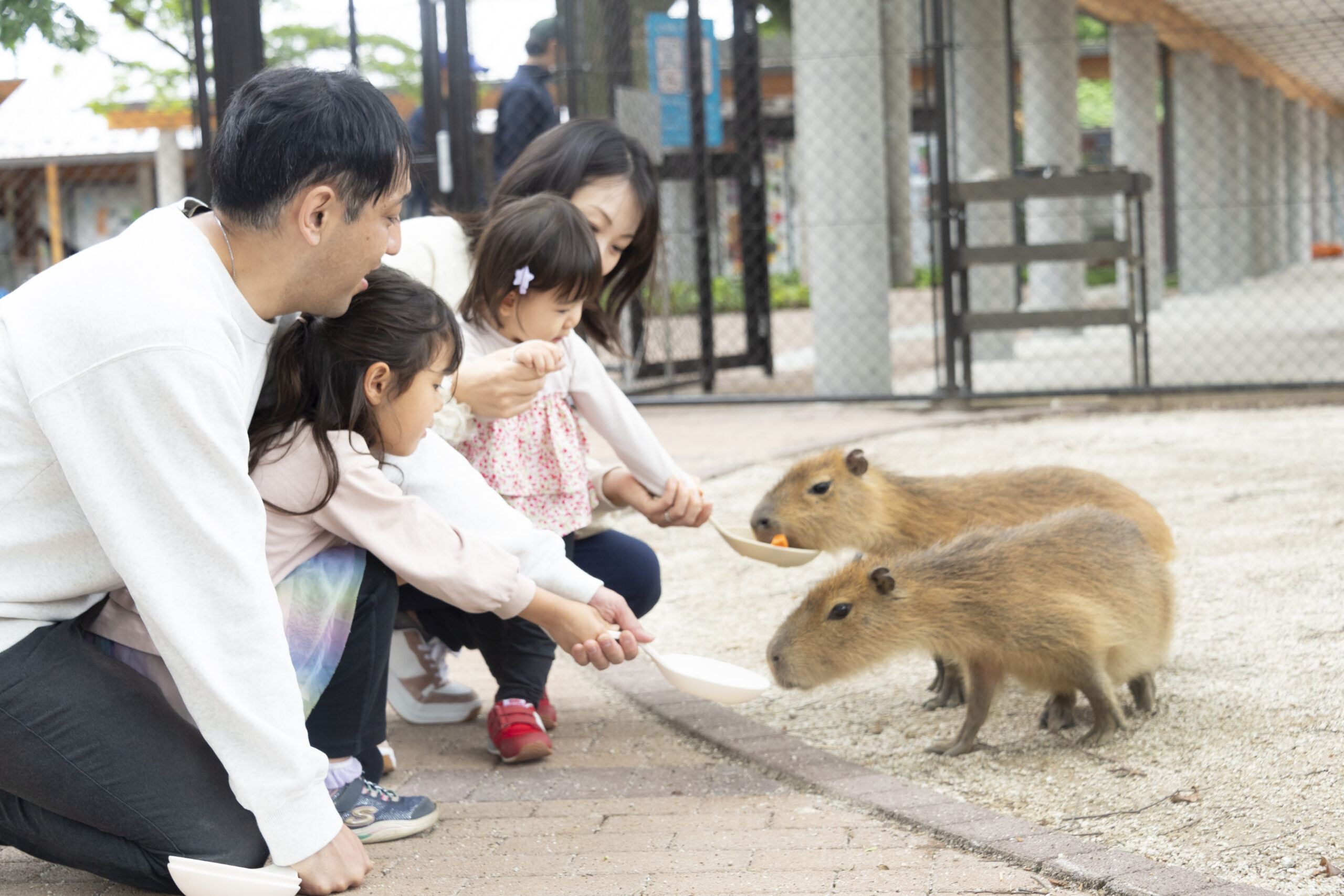 清水公園