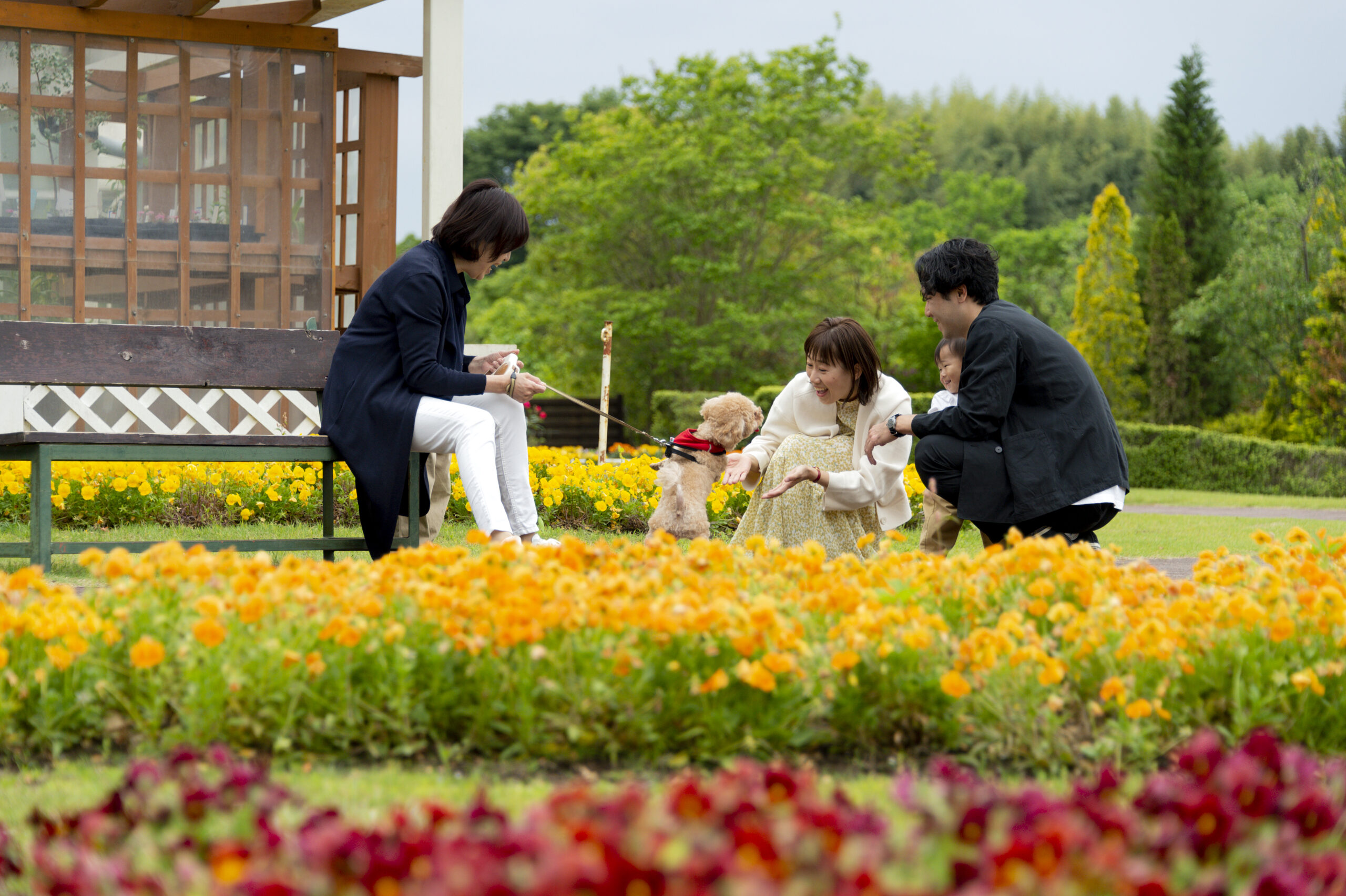 清水公園