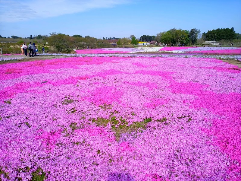 富田さとにわ耕園・・(@{Type=card; Url=https://futofura.com/spot/tomita_sato/; FinalUrl=https://futofura.com/spot/tomita_sato/; Title=富田さとにわ耕園 | 穴場おでかけスポット検索メディア【ふとふらっと】; SiteName=穴場おでかけスポット検索メディア【ふとふらっと】; Description=; ImageUrl=https://futofura.com/wp-content/uploads/2026/05/AJRVUZNQ605xLXGrgcv1TXn0MBhOQpz2DsBwImhcTEs5-xW5atElhkLJDQy8Rk6QWxZtXgjud2iD_98i1f0cYz8e5eiA2XX9n0AbE5fBas_xbri7Ts5FY-aBcY8h-2prvNoz-E7D-5uxdinu-pQTs1600-w800.jpg; HostName=futofura.com}.Title)