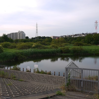 長津川親水公園・・(@{Type=card; Url=https://www.mizunohi.jp/action/spot0019.html; FinalUrl=https://www.mizunohi.jp/action/spot0019.html; Title=水の日・水の週間 | 水を探そう | 市民のオアシス 長津川調節池; SiteName=mizunohi.jp; Description=ご存じですか？ 毎年8月1日は水の日、8月1日から7日は水の週間です。水の日・水の週間に関連する行事の案内、水循環を小学生向けに解説するコンテンツ、水を上手につかい、水をまもるためのアクションなど; ImageUrl=https://www.mizunohi.jp/action/img/0019.jpg; ImageSource=page-image; HostName=mizunohi.jp}.Title)