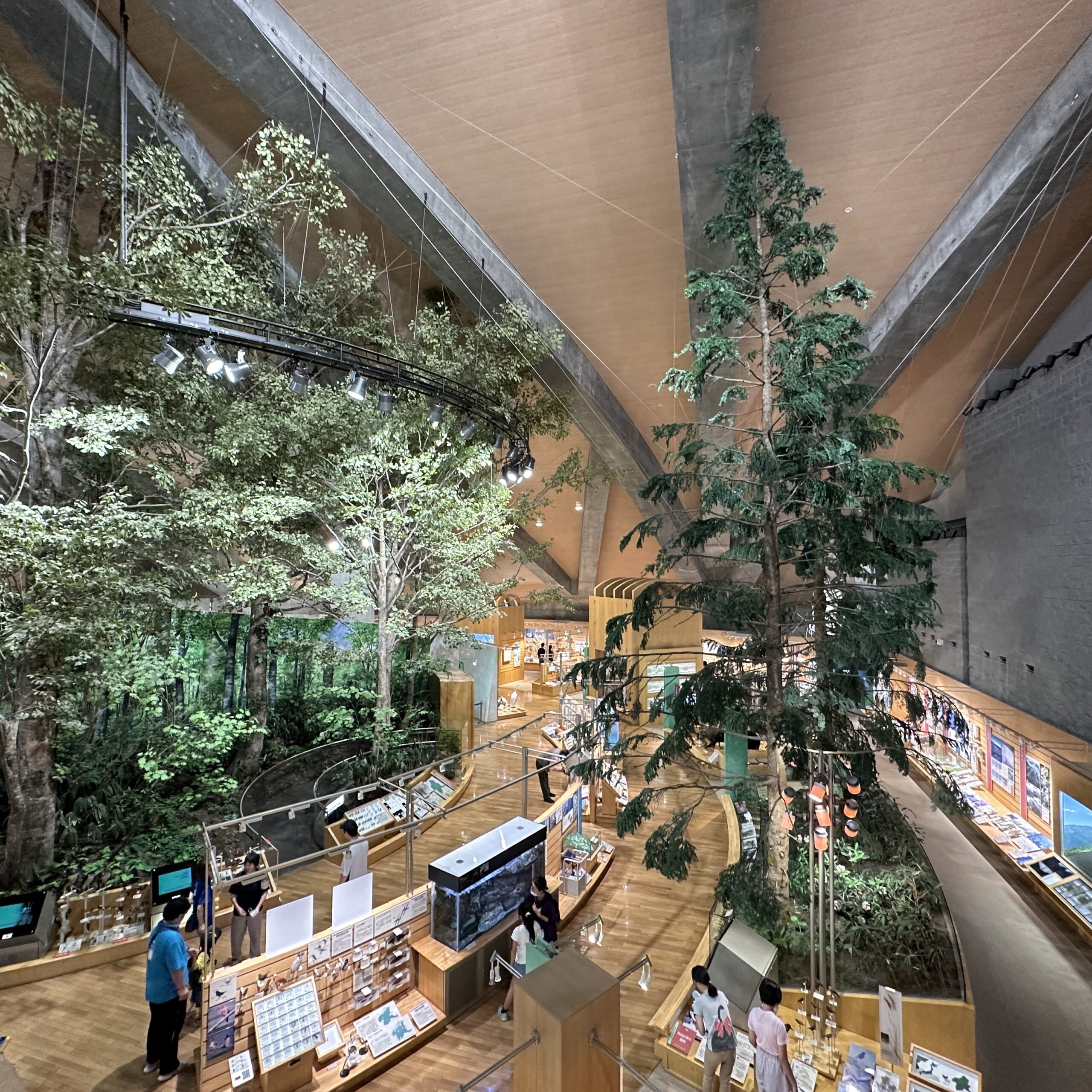 群馬県立自然史博物館