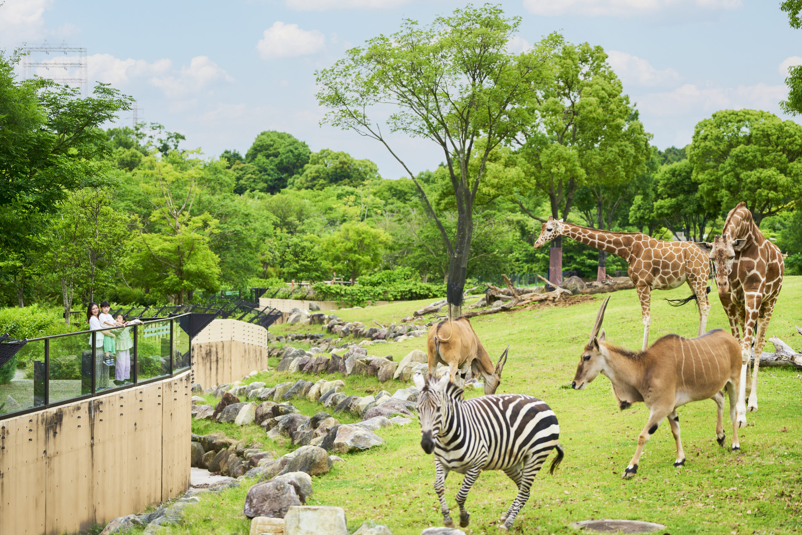 横浜動物の森公園（よこはま動物園ズーラシア）